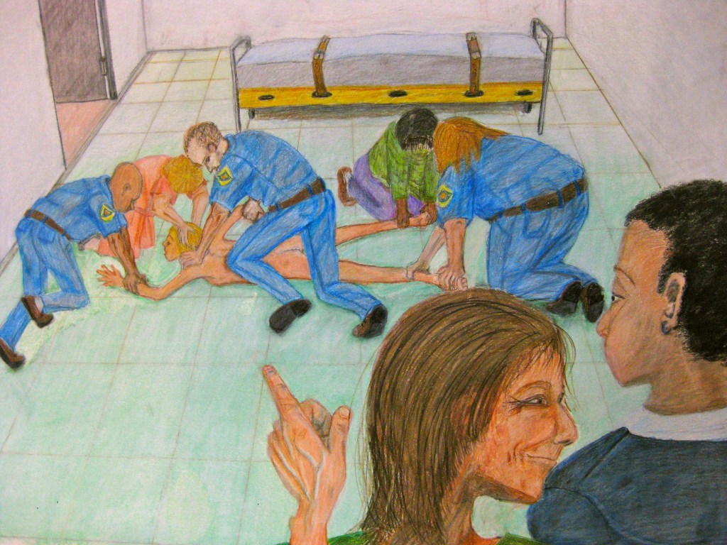 Hospital Restraint and Seclusion Image