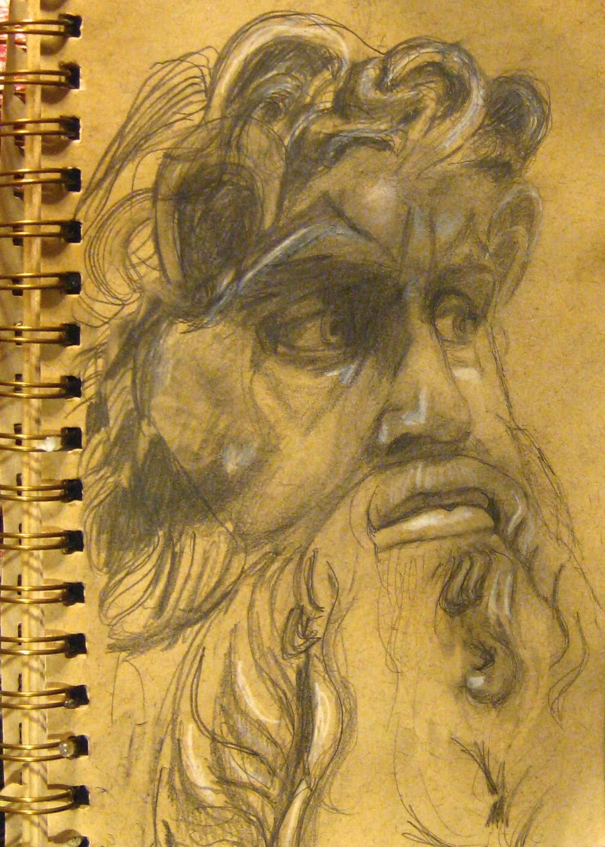 I draw what I want to whether it is correct or not...