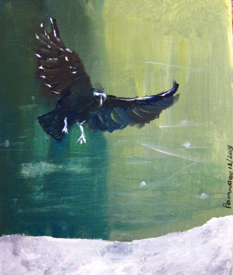 Blackbird landing on Snow