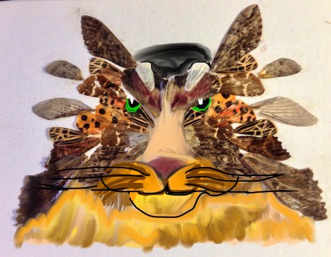 Butterfly Wolf or BUTTERWOLF!