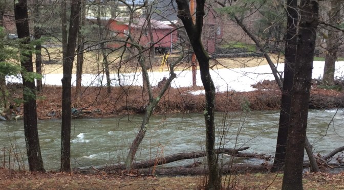 Poem: On Flood Season and Rumors of Loss