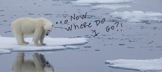 SAYING YES SOMETIMES MEANS SAYING NO ￼