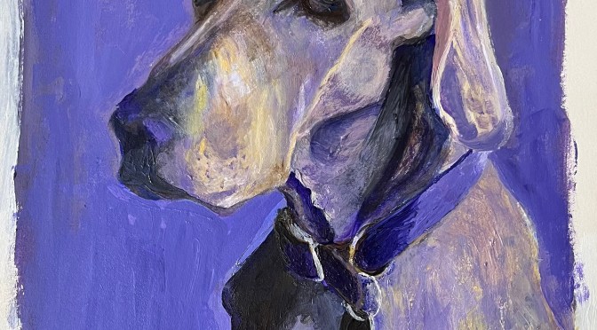 Stages of a pet portrait